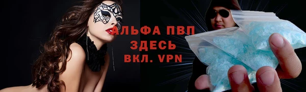 гашик Балахна