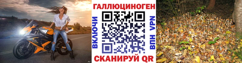 Псилоцибиновые грибы Cubensis  Шарья 