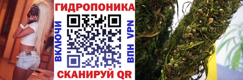 Каннабис Ganja  площадка какой сайт  Шарья 
